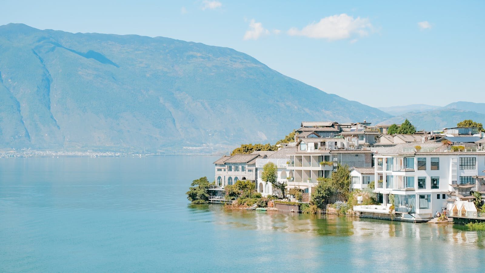 Legal Interpretation